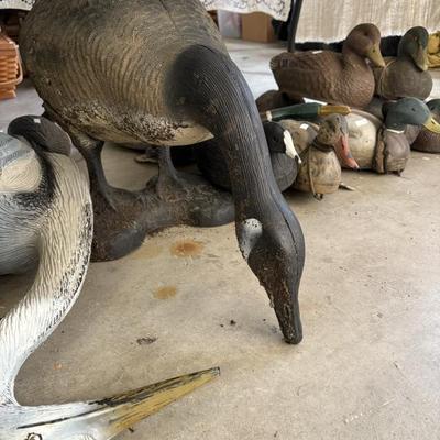 Sale Photo Thumbnail #84