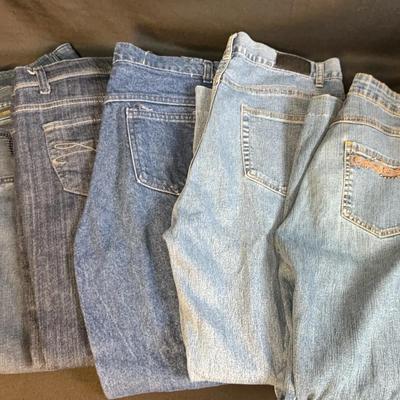 Denim Collection Variety of Sizes 