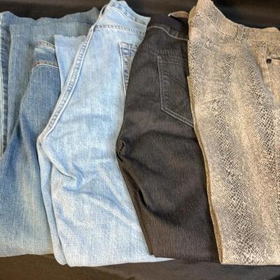 Denim Collection Variety of Marked Sizes