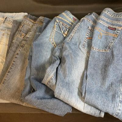 Zanabi, Mudd, Calvin Klein Denim Variable Sizes