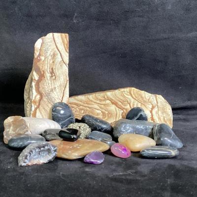 Petrified Wood 