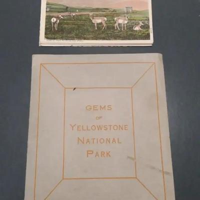 "Gems Of Yellowstone Park" Post Cards 