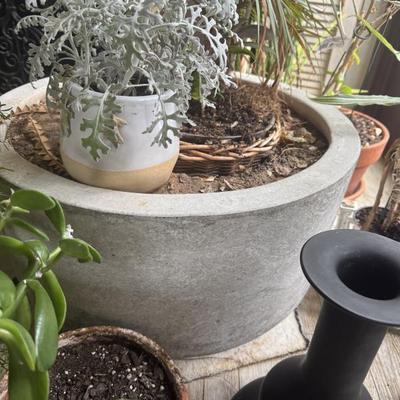 Sale Photo Thumbnail #520