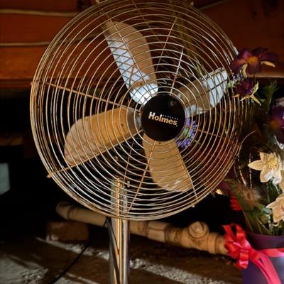 Sale Photo Thumbnail #421