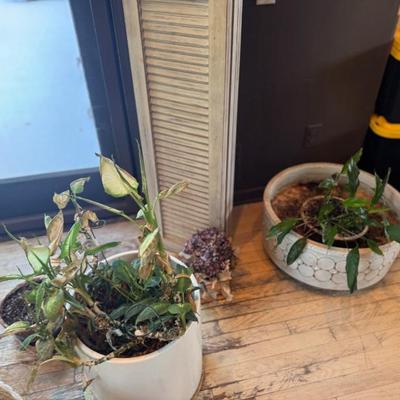 Sale Photo Thumbnail #66