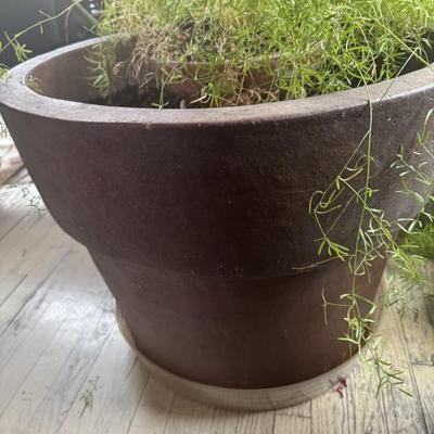 Sale Photo Thumbnail #521