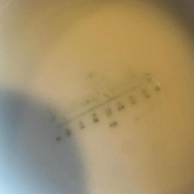 Sale Photo Thumbnail #544