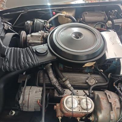 Sale Photo Thumbnail #4