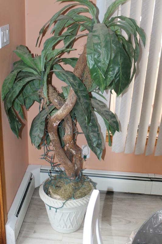 Sale Photo Thumbnail #18