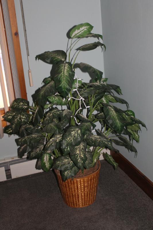 Sale Photo Thumbnail #2