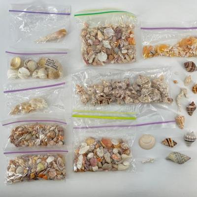 Sale Photo Thumbnail #228