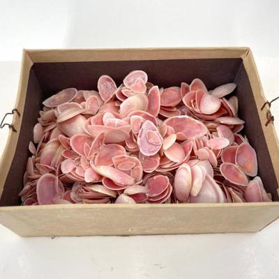 Sale Photo Thumbnail #337