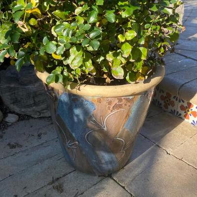 Sale Photo Thumbnail #8