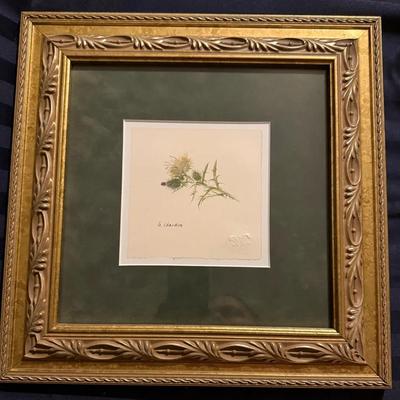 Elegant framed botanical artwork titled “Le Chardon” (The Thistle) by Isabel de Borchgrave. 