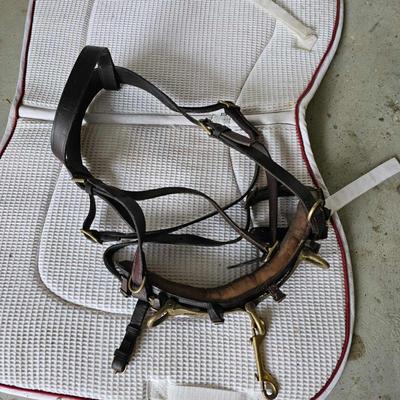 Sale Photo Thumbnail #276