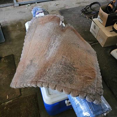 Sale Photo Thumbnail #275