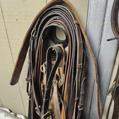 Sale Photo Thumbnail #297