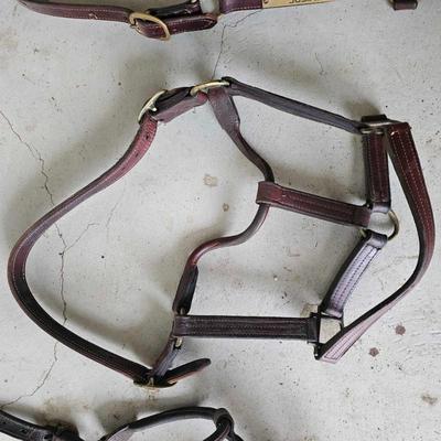 Sale Photo Thumbnail #249