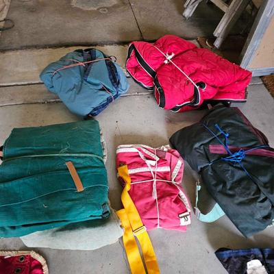 Sale Photo Thumbnail #362