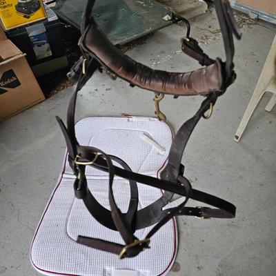 Sale Photo Thumbnail #278