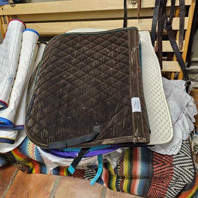 Sale Photo Thumbnail #354