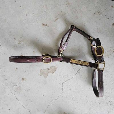 Sale Photo Thumbnail #251