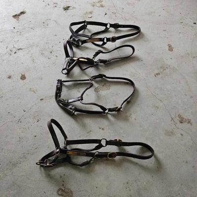 Sale Photo Thumbnail #247