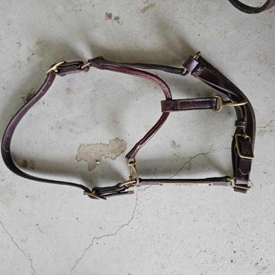 Sale Photo Thumbnail #250