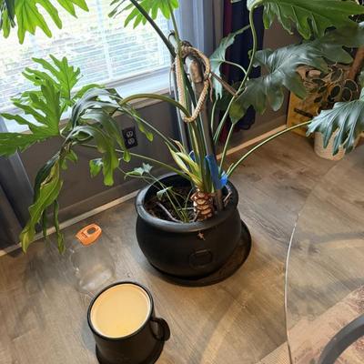 Sale Photo Thumbnail #56