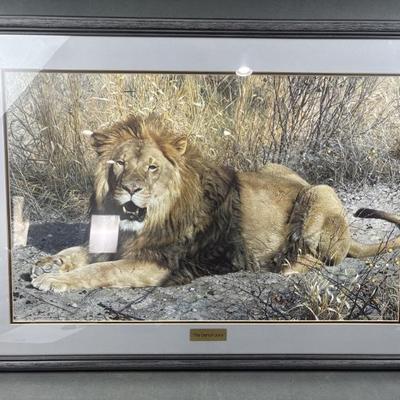 Sale Photo Thumbnail #113