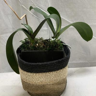 Sale Photo Thumbnail #156