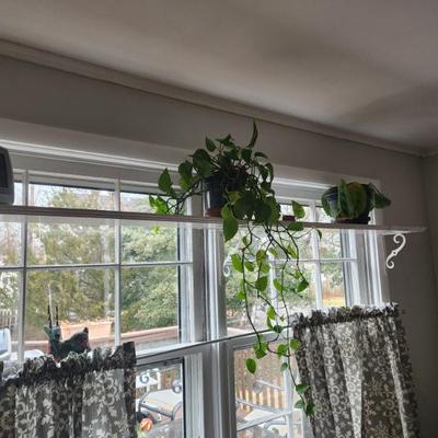 Sale Photo Thumbnail #6