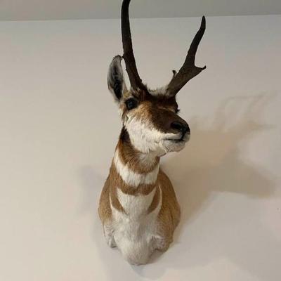 Sale Photo Thumbnail #47