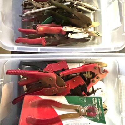 Sale Photo Thumbnail #241