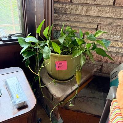 Sale Photo Thumbnail #80