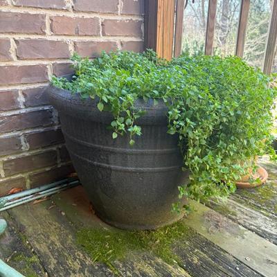 Sale Photo Thumbnail #922