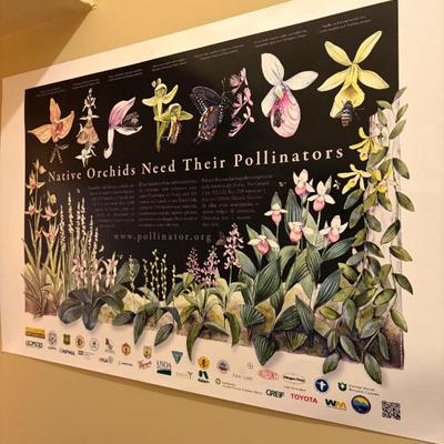 Sale Photo Thumbnail #270