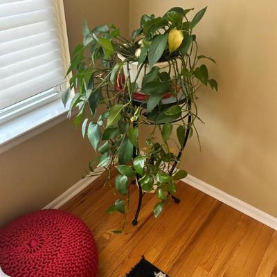 Sale Photo Thumbnail #41