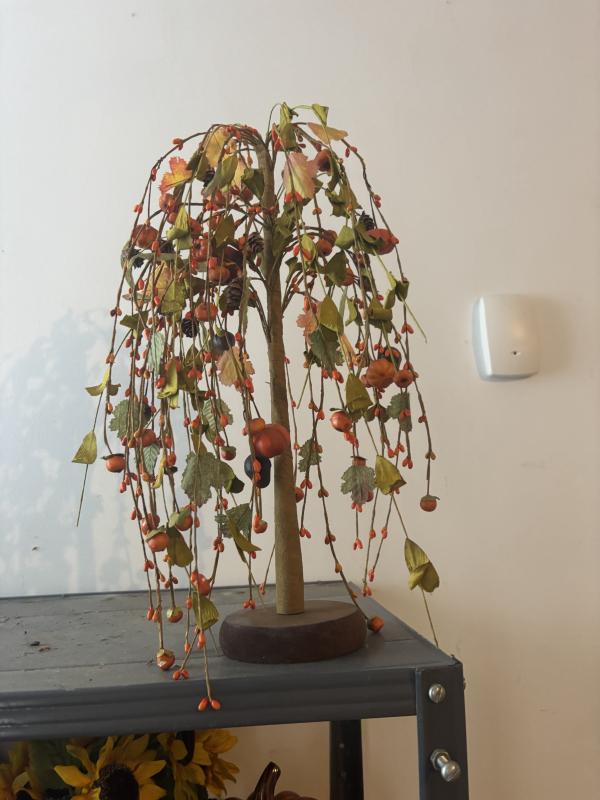 Sale Photo Thumbnail #548