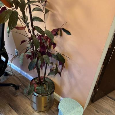 Sale Photo Thumbnail #58