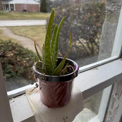 Sale Photo Thumbnail #20