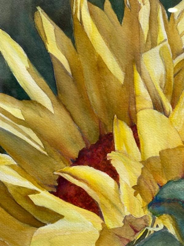 Sale Photo Thumbnail #5