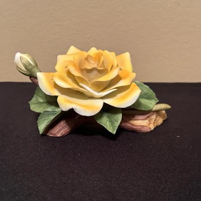 Andrea By Sadek  “Yellow Rose”