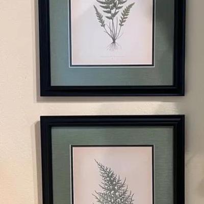 Framed Fern Prints (2)