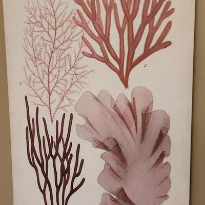 Seaweed Wall Art