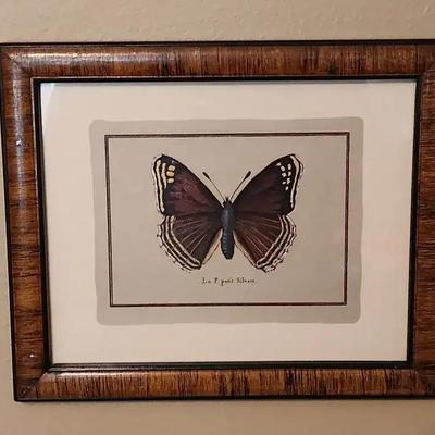 Framed Print "Le Petit Silvain" 