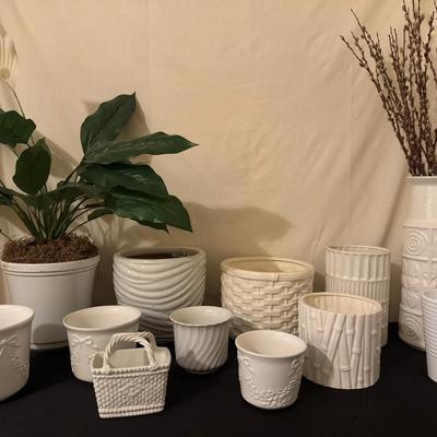 Need A Place To Put Your Plant?