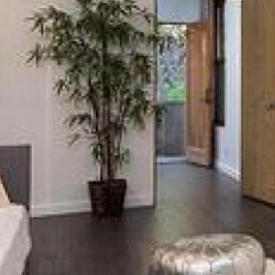 Sale Photo Thumbnail #213: Bamboo tree accent 6-7 ‘