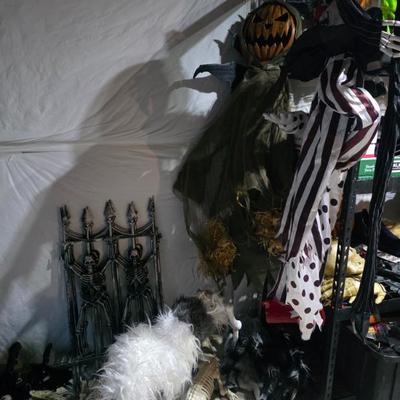 Sale Photo Thumbnail #7