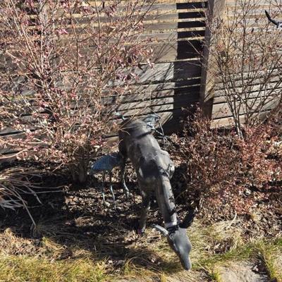 Sale Photo Thumbnail #65